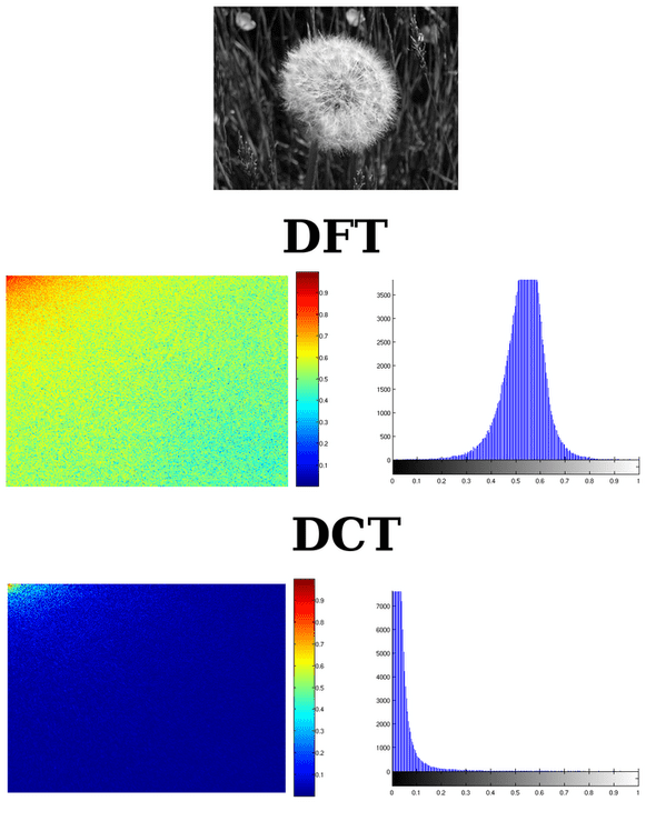 700px Dandelion clock quarter dft dct